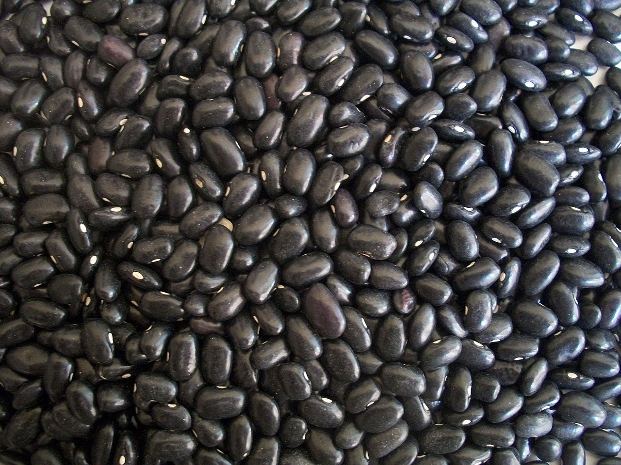 Black bean Image